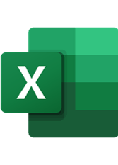 Excel format